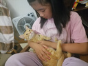 滴露（Dettol）宠物家庭消毒液1L灭杀真菌细菌 猫砂去味 宠物除臭除味剂消毒水 实拍图