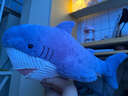 婴果小岛鲨鱼抱枕毛绒玩具宿舍床上抱着陪睡觉大玩偶生日礼物送男生实用的 睡眠鲨鱼蓝色60厘米 实拍图