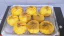 新良原味面包粉10斤装 高筋面粉 烘焙原料 手撕面包机用小麦粉 实拍图