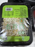 有机绿豆芽 200g 实拍图