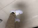 耐克NIKE男空军一号AF1 运动鞋CW2288-111白40.5 实拍图