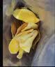 海天山庄【新人0.01起】芒果干大片厚切新鲜即食水果干果脯蜜饯解馋休闲吃 芒果干【拍2袋发3袋】 实拍图