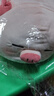 名创优品（MINISO）小猪B-BO弹力超柔趴姿公仔毛绒玩具玩偶抱枕靠枕生日61儿童节礼物 实拍图