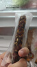 金字梅干菜土香肠325g猪肉干菜肉肠腊肠农家传统浙江特产腊味 实拍图