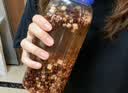贡苑炒赤小豆红豆薏米茯苓芡实茶260g调理脾胃体内湿气重男女泡水茶包 实拍图