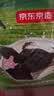 京东京造脱脂初乳高钙牛奶粉1kg 高蛋白0蔗糖成人奶粉免疫球蛋白 实拍图