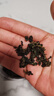 崇芝林国药药材绞股蓝嫩叶泡水滋补养生花草茶健康茶200g 实拍图