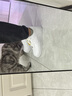 耐克NIKE男空军一号AF1 运动鞋CW2288-111白42.5 实拍图