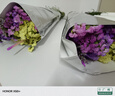勿忘我半干花材云南直发鲜花批发花束搭配可做38女神妇女节礼物 紫+粉+黄勿+情人草（共500g） 实拍图