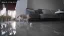 LEGENDSANDY蓝氏乳鸽猫粮幼猫成猫猫零食主食猫条餐包猫咪尝鲜大礼包246g 实拍图