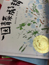 女巫（彩图拼音版3本套装）罗尔德达尔作品典藏 7-10岁 小学一年级二年级课外阅读 儿童文学 儿童礼物  阅读书单 一升二衔接 小升初衔接 实拍图