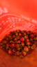 福茗源花草茶 玫瑰花茶250g 特级品质无硫熏泡水喝山东平阴玫瑰花苞花茶 实拍图