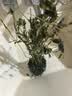MPPMCK观音竹 水培米竹水培鱼缸玻璃瓶带根苔藓球植物室内禅意盆栽凤尾 水培款30根苔藓球翡翠观音竹40cm 晒单实拍图
