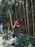 蕉下（beneunder）双肩包女包背包旅游轻便双肩背包书包大容量登山通勤户外背包 实拍图