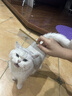 它它台湾TAA它它彩色宠物美容师排梳FA19宠物狗狗猫咪精修铝柄梳子 入门款19cm-金色 实拍图