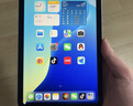 Apple/苹果 iPad mini (A17 Pro) 8.3英寸 平板电脑(128G WLAN版/mini7/MXN73CH/A)蓝色 实拍图