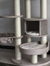 兽牌森林猫爬架大型猫树猫窝一体豪华剑麻猫架太空舱缅因大猫四季适用 森林【经典款】 实拍图