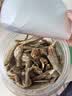 农香森 香脆小黄鱼酥500g罐装即食海味酥脆黄花鱼仔孕妇零食解馋小吃 实拍图