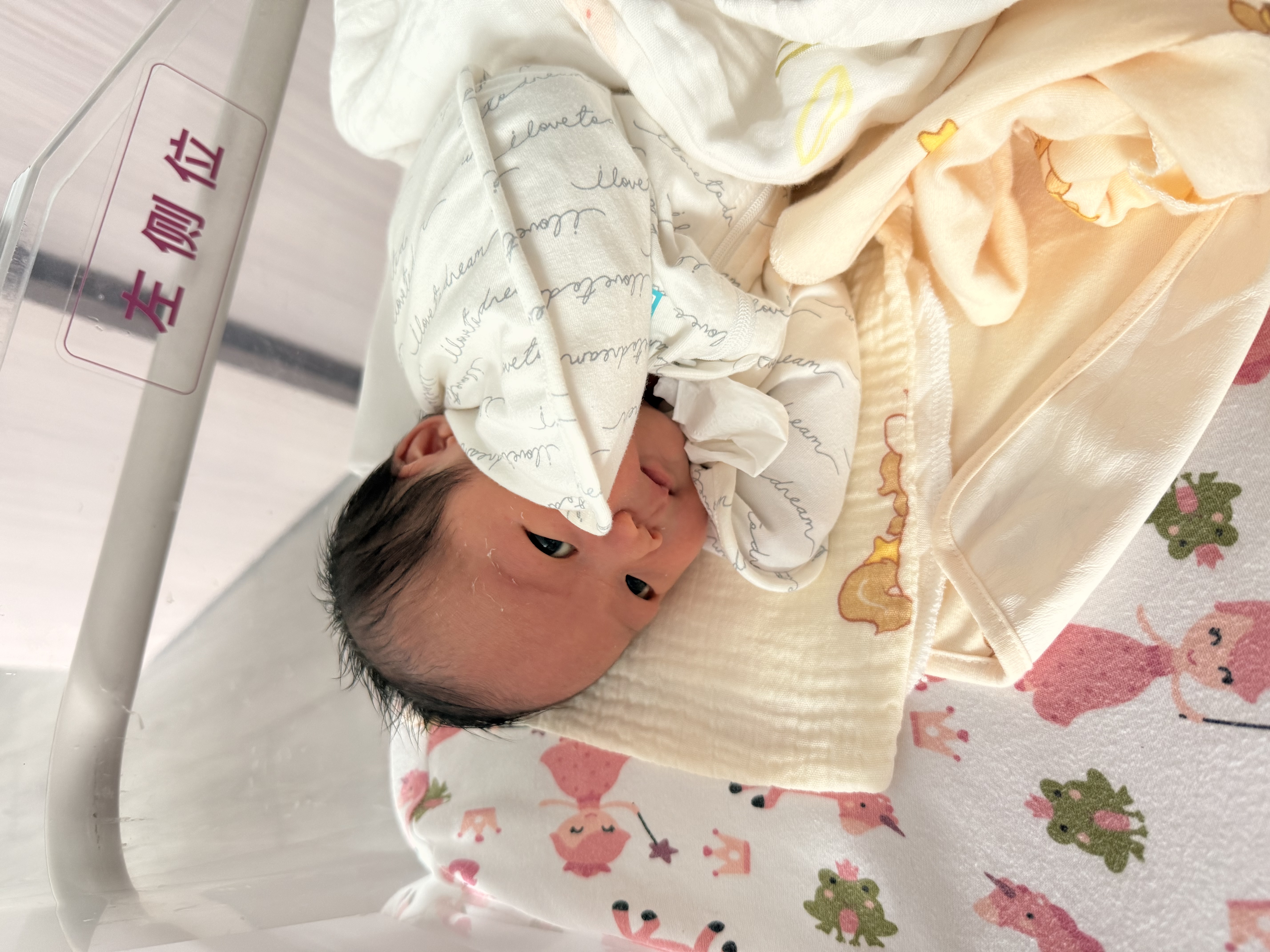 LOVE TO dream婴儿睡袋防惊跳睡袋新生儿防踢被宝宝睡袋竹纤维四季通用 实拍图