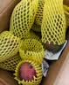 京地达攀枝花红头凯特芒果 净重5斤果王600g+肉厚无丝香甜新鲜水果包邮 实拍图