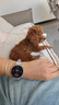 HUAWEI WATCH GT 6 流光紫 41mm智能手表多维情绪健康全新骑行体验 实拍图