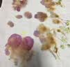 苏拉达(Surada)植物拓染材料包 手工diy树叶敲拓染锤子扎染方巾布料儿童拓印套装植物绘画diy工具包sd262 实拍图
