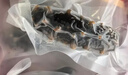 獐子岛 大连即食海参1.2kg 31-40只 固形物90%以上 海鲜水产送礼礼盒 实拍图