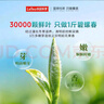 乐品乐茶特级明前碧螺春绿茶2026新茶自己喝茶叶礼盒装250g送长辈领导 实拍图