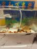 松宝鱼缸过滤器三合一潜水增氧泵水族箱内置过滤净水氧气泵循环抽水泵 WP-2300A 10瓦+2块替换棉 实拍图