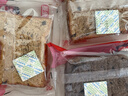 玩铁猩猩西梅牛乳厚切吐司混合3口味生巧&原味&生椰健身代餐全麦面包700g 实拍图