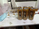 麦克雷烈性啤酒四倍浑浊IPA麦芽度24度精酿原浆500ml*9听装整箱礼盒 实拍图