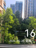 HUAWEI Mate X7 麒麟9030 Pro 12GB+512GB寰宇红 超可靠折叠玄武架构 第二代红枫影像鸿蒙系统华为折叠屏 实拍图