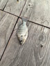 柏鲨 钓鱼竿套装组合手竿海竿鱼杆新手鱼具钓鱼装备全套渔具垂钓用品 4.5+5.4手竿+简易版25件套 实拍图