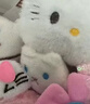 SEVENMOONS生日礼物卡通花束helloKitty凯蒂猫618端午节送男女友闺蜜礼物 粉色小香风凯蒂猫+礼袋灯串+贺卡 实拍图