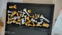 华圣国际象棋友邦磁石象棋桌游儿童棋学生训练比赛专用磁性国际象棋 磁石国际象棋【金银棋子】4812A 实拍图