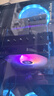 利民（thermalright）Peerless Assassin 120 SE ARGB 风冷散热器AGHP逆重力6热管逆转双C12C-S风扇PA120 SE ARGB 实拍图