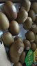 佳沛（zespri）新西兰 金果30-33粒原箱单果103-124g 端午礼物水果礼盒 猕猴桃 实拍图