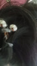 低马尾发饰珍珠头绳不伤发电话线发圈项链高弹力橡皮筋女扎头发绳 透灰色珍珠电话线发圈一个 实拍图