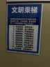 【原研进口】[纽英特] 肠内营养粉剂(AA-PA) 400g/罐*3罐装 实拍图