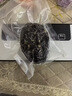 拜杰真空封口机干湿两用真空保鲜封口机家用食品全自动大吸力真空包装机真空压缩封口机塑封机 实拍图