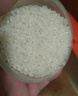 美素佳儿（Friso）皇家幼儿配方奶粉3段（1-3岁幼儿适用）800g*6罐 乳铁蛋白 实拍图