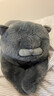 野兽派家居（tbh）懒蓝猫长条抱枕靠垫卧室夹腿办公室抱枕沙发可爱腰枕车载抱枕 实拍图