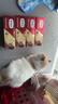 弗列加特 0乳糖鲜肉猫主食罐头 成猫鲜鸡肉味 95g*24罐 实拍图