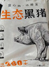鲁南顺发沂蒙山黑猪肋排条 2斤 猪肉排骨肋排烧烤 实拍图