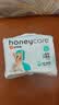 HONEYCARE好命家 狗狗纸尿裤公狗尿不湿生理裤XS12片12包 实拍图