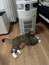 美的家用宠物空气净化器 吸猫毛除过敏源猫猫搭子猫毛净化器杀菌消毒除猫狗异味 卫健委备案 小怪兽PET500【宠物专享】 实拍图