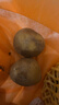 京喜加新鲜黄心土豆农家自种黄皮马铃薯黄心洋芋减脂早餐新鲜蔬菜 黄心土豆 250g 净重 50g起/单果 实拍图
