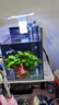金晶超白玻璃桌面鱼缸小型家用办公室生态懒人全套造景小缸水草缸 裸缸+防滑垫 15*15*20 实拍图