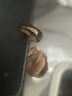 正林黑瓜子1.5A五香味散货西瓜子2500g/袋 实拍图