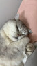 Orijen渴望猫粮 成猫幼猫粮 全价通用无谷原味鸡肉进口7.2kg效期27/4 实拍图